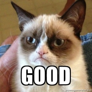 Grumpy Cat Good