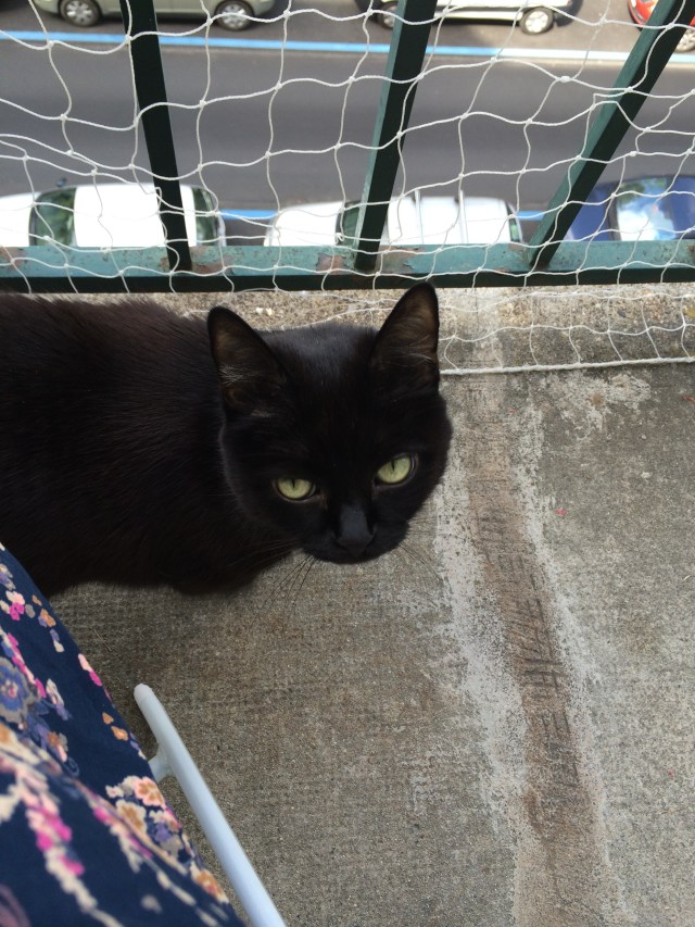 But I'M in Geneva...That makes it perfect. Fact. 